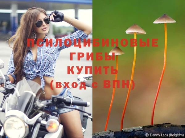 марихуана Тихорецк