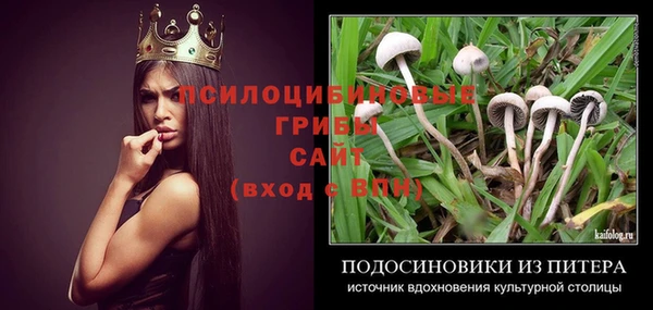 молекула духа Кодинск