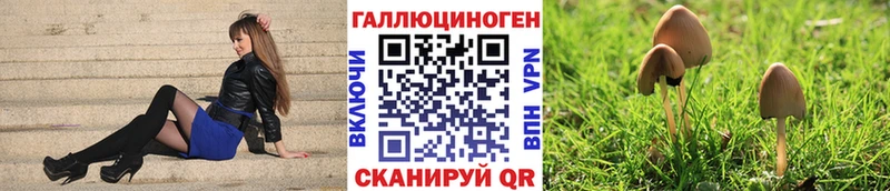 Галлюциногенные грибы прущие грибы  ОМГ ОМГ маркетплейс  Вятские Поляны 