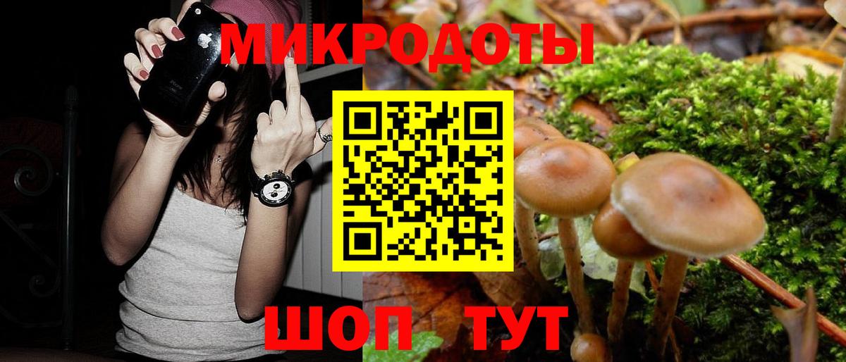 Галлюциногенные грибы прущие грибы Вятские Поляны