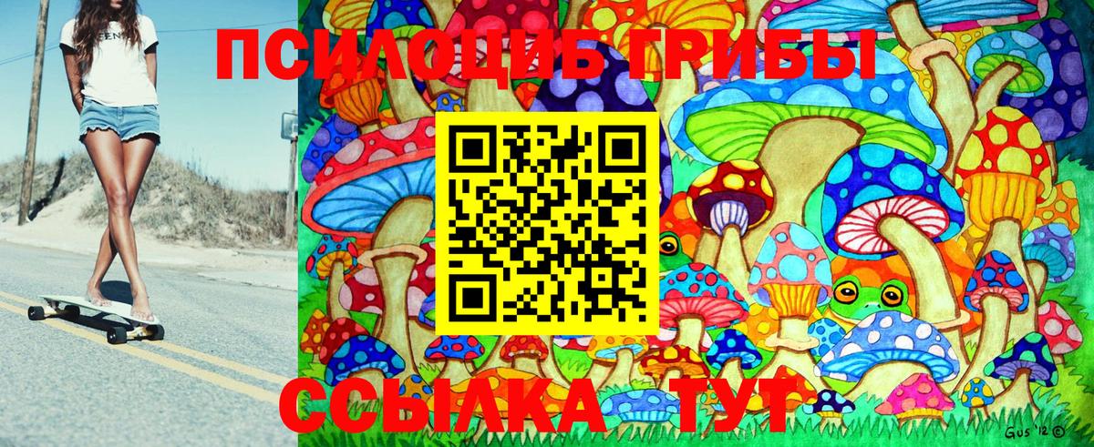 Вятские Поляны  Галлюциногенные грибы GOLDEN TEACHER  Вход с VPN  что такое наркотик  Псилоцибиновые грибы мицелий 