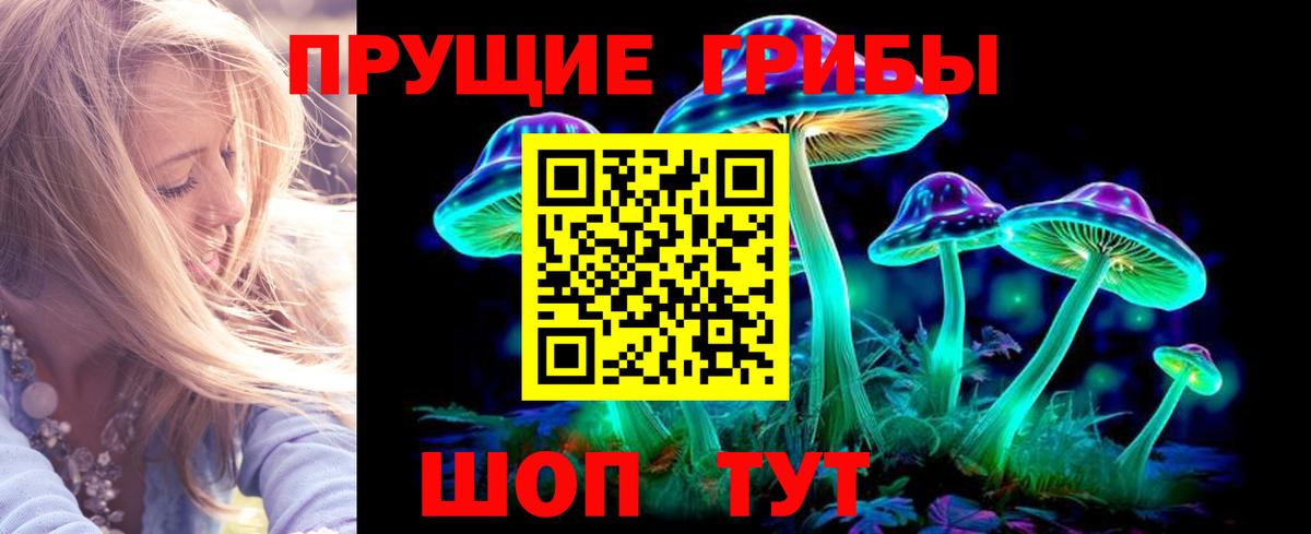 Галлюциногенные грибы Psilocybine cubensis Вятские Поляны